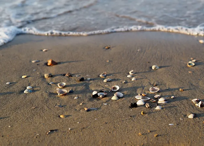 With Garden Close To - Beahost * Bibione